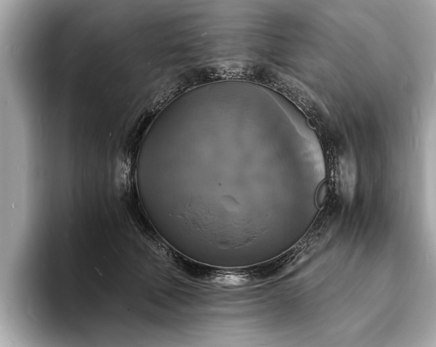 X0000094060610200710261227