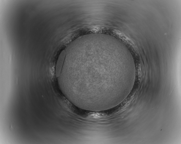X0000094060611200710261227