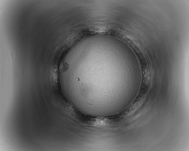 X0000094060612200710261227