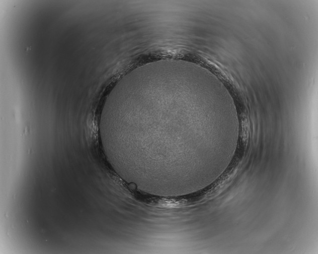 X0000094060613200710261227