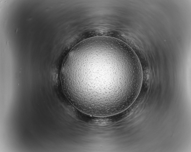 X0000094060615200710261227