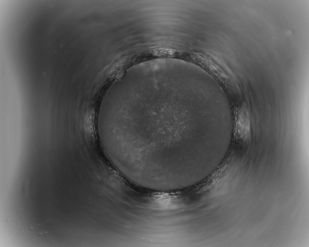 X0000094060616200710261227