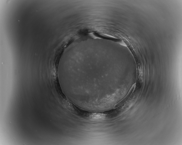 X0000094060617200710261227