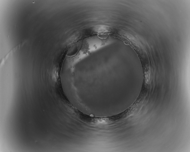 X0000094060618200710261227