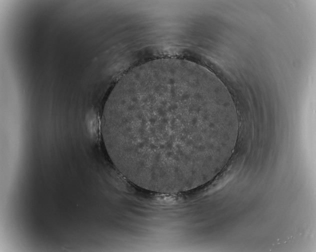 X0000094060624200710261227