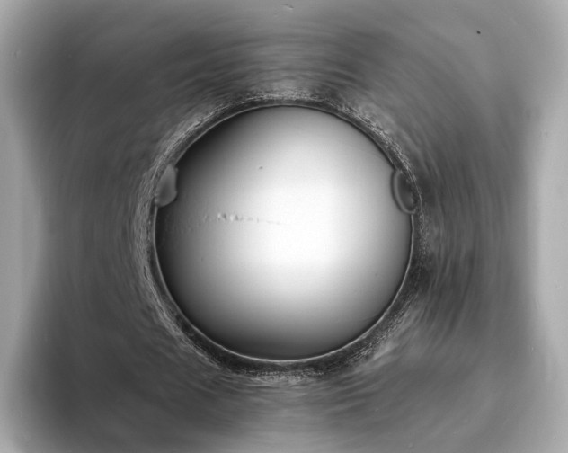 X0000094060625200710261226