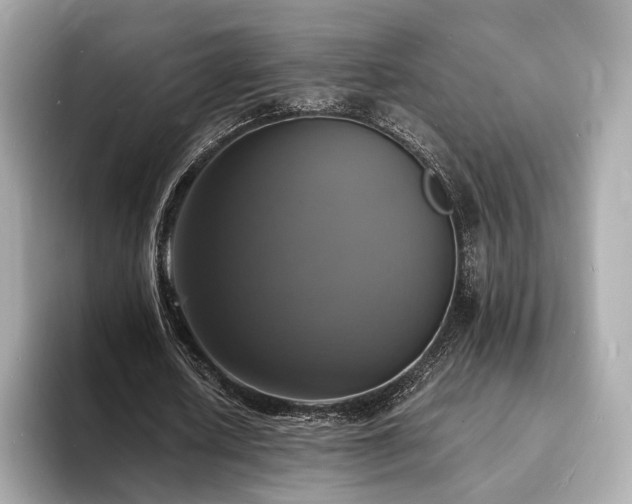 X0000094060626200710261226