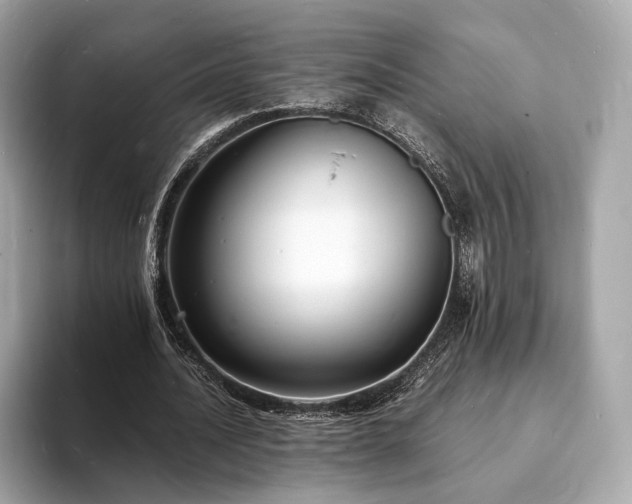 X0000094060628200710261226