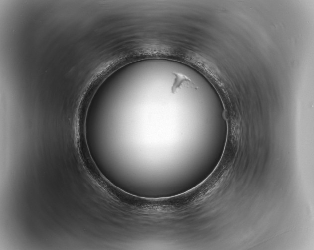 X0000094060629200710261226