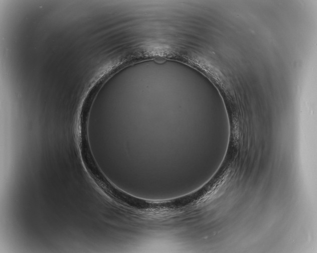 X0000094060630200710261226
