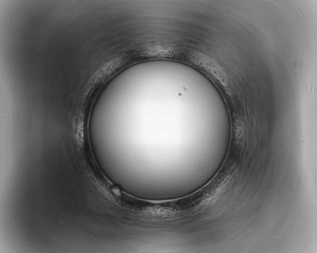 X0000094060633200710261226