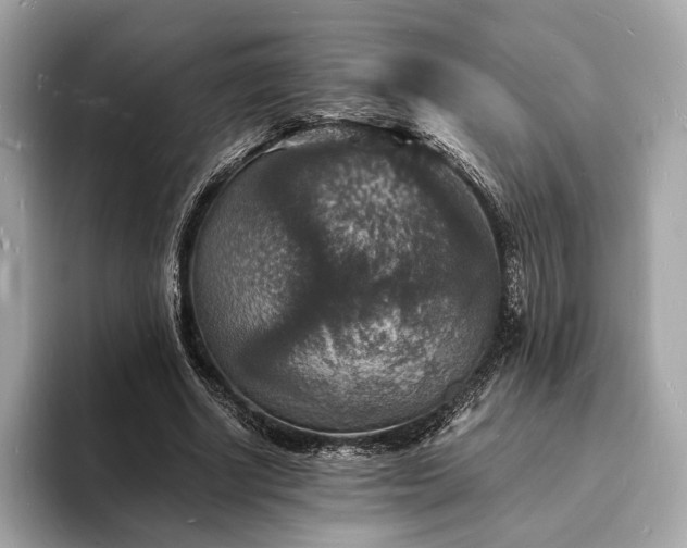 X0000094060634200710261226