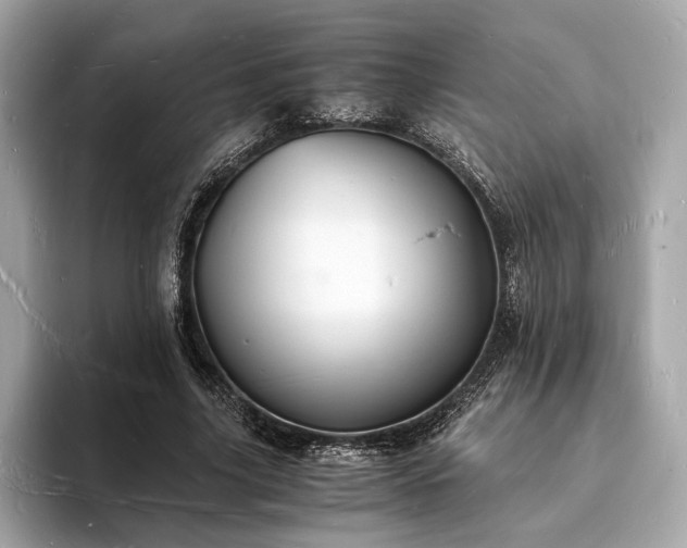X0000094060635200710261226