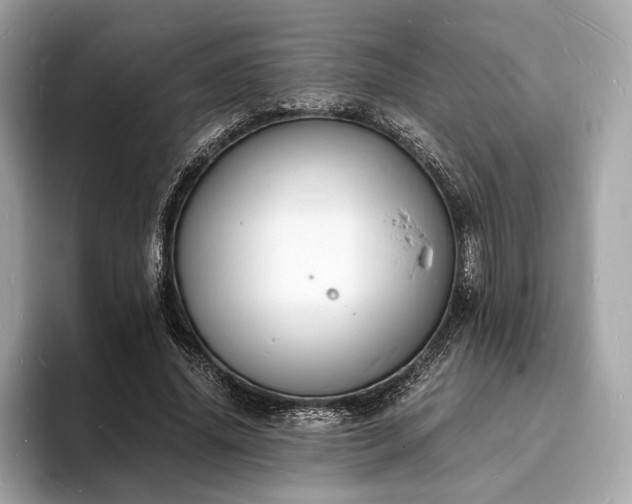 X0000094060636200710261226