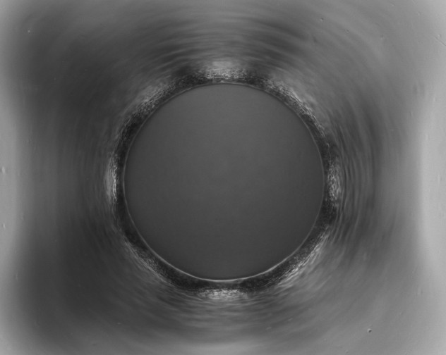 X0000094060637200710261226