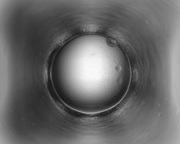 X0000094060638200710261226
