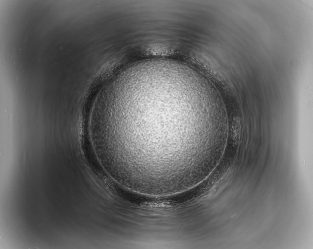 X0000094060639200710261226