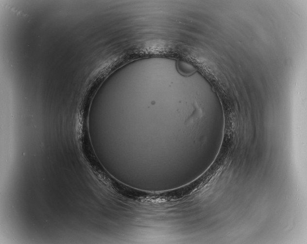 X0000094060640200710261226