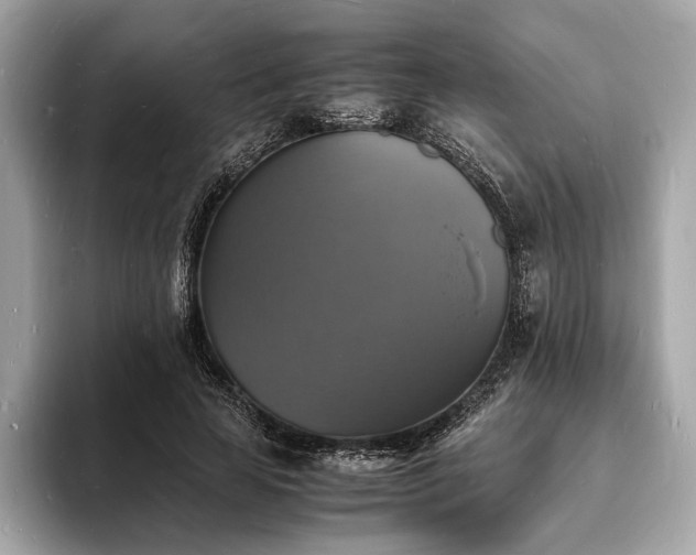 X0000094060641200710261226