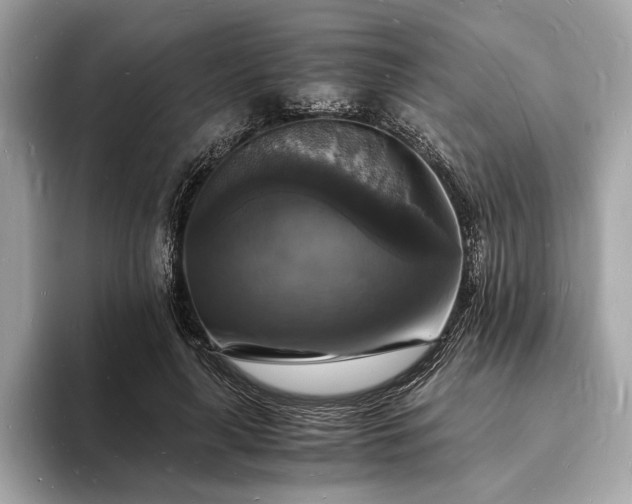 X0000094060643200710261226