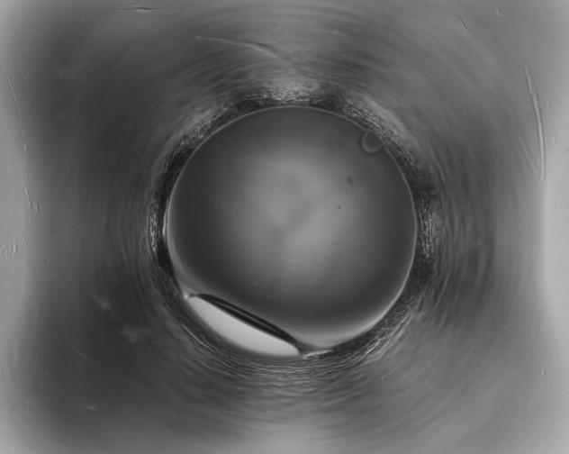 X0000094060644200710261226