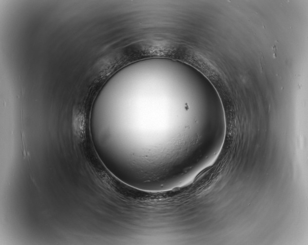 X0000094060646200710261226