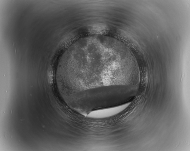 X0000094060647200710261226