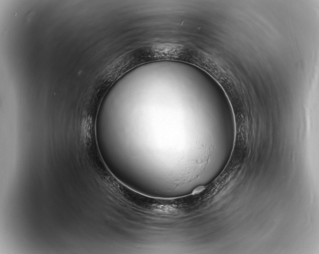 X0000094060649200710261226