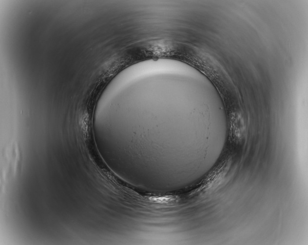 X0000094060650200710261226