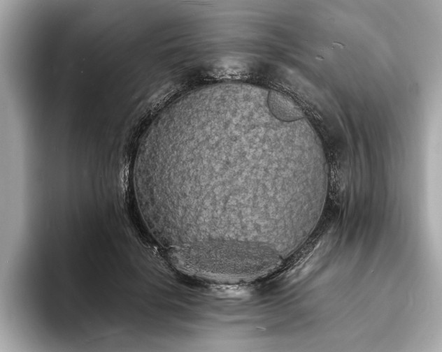 X0000094060652200710261226