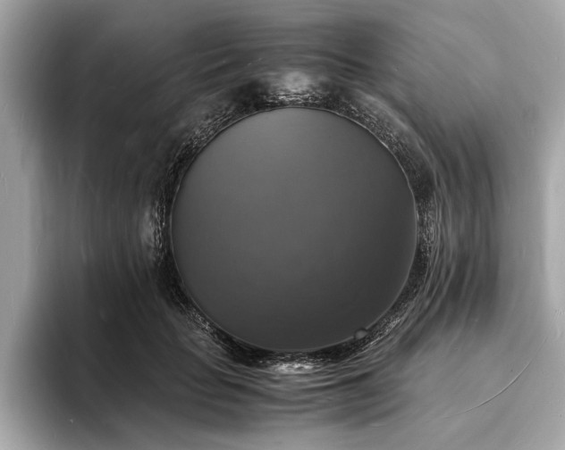 X0000094060653200710261226