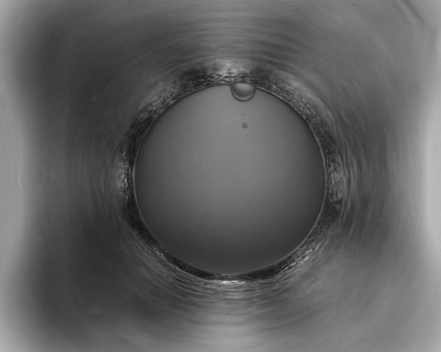 X0000094060654200710261226