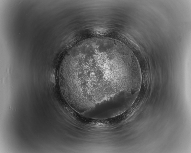 X0000094060655200710261226