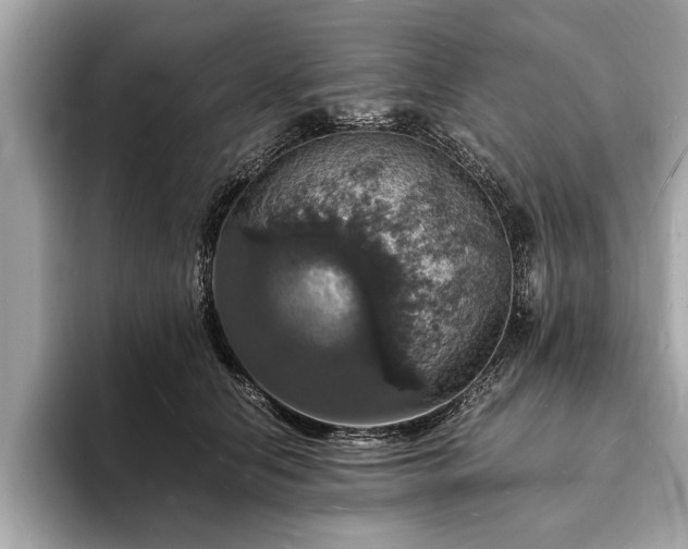 X0000094060658200710261226