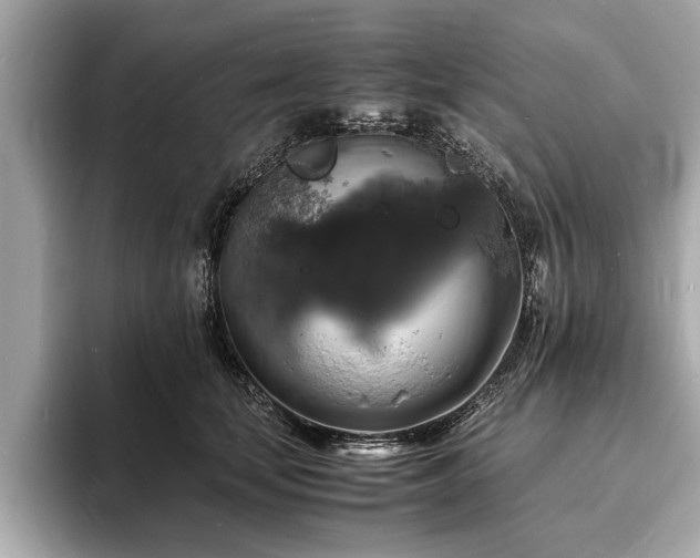 X0000094060659200710261226