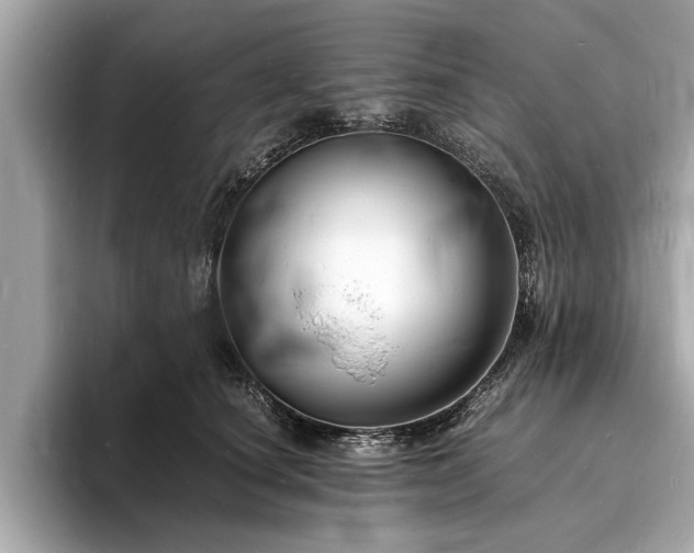 X0000094060660200710261226