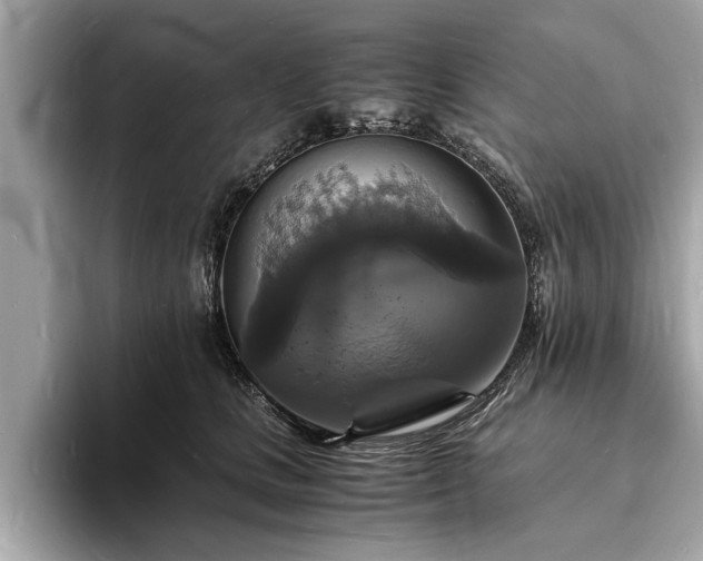 X0000094060661200710261226
