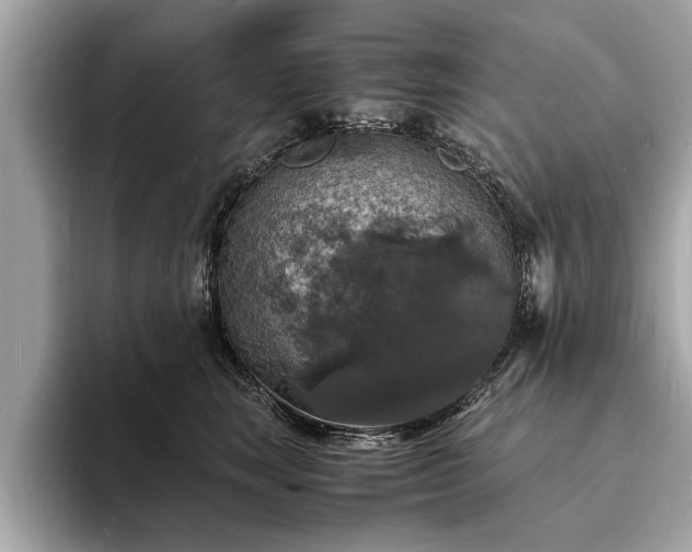X0000094060663200710261226