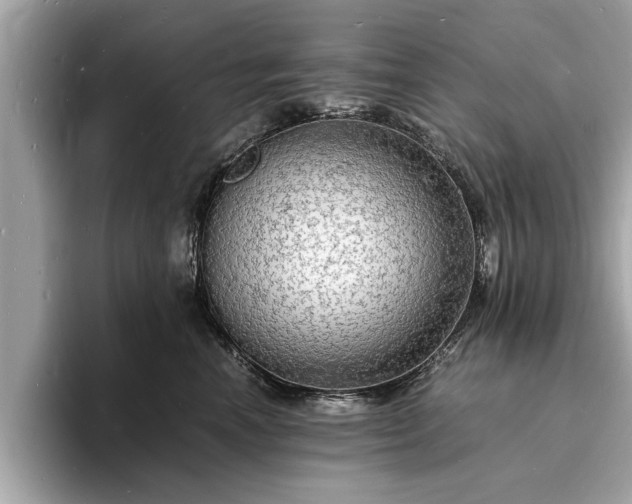 X0000094060666200710261227