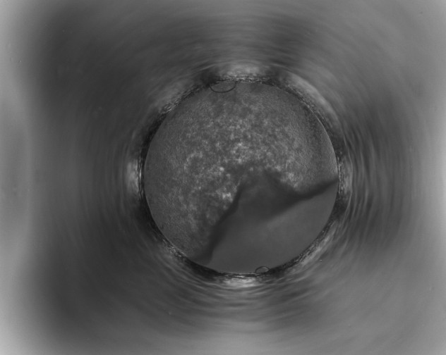 X0000094060669200710261227