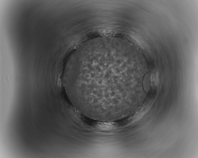 X0000094060671200710261227