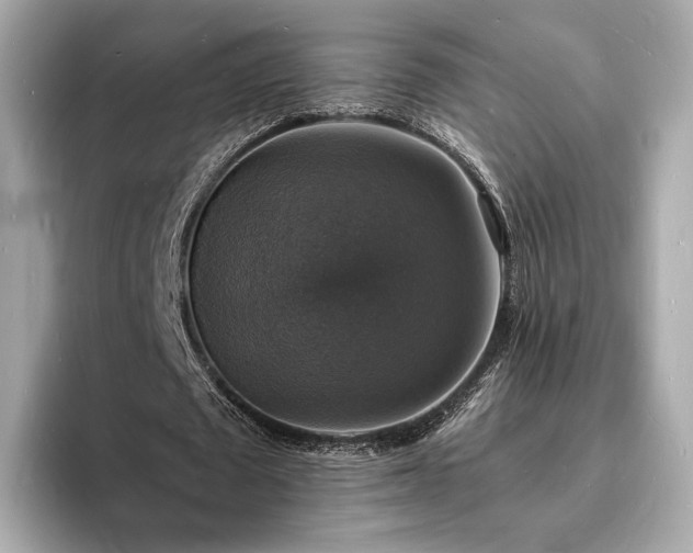 X0000094060673200710261226