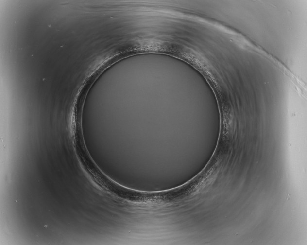 X0000094060674200710261226