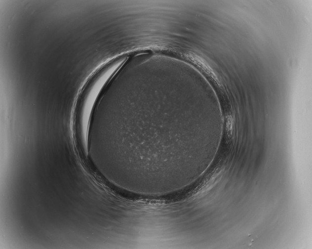 X0000094060676200710261226