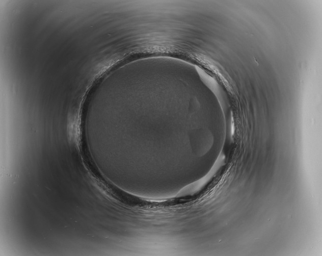 X0000094060677200710261226