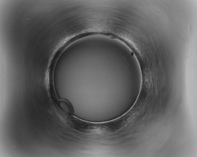 X0000094060678200710261226