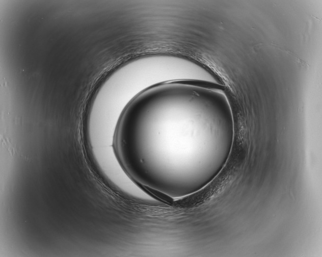X0000094060681200710261226