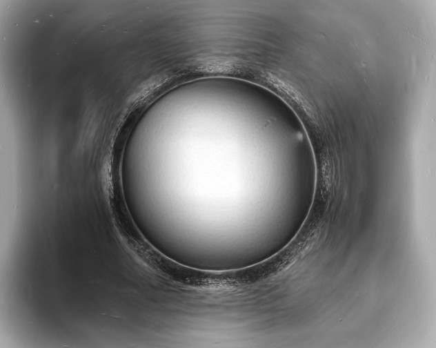 X0000094060682200710261226