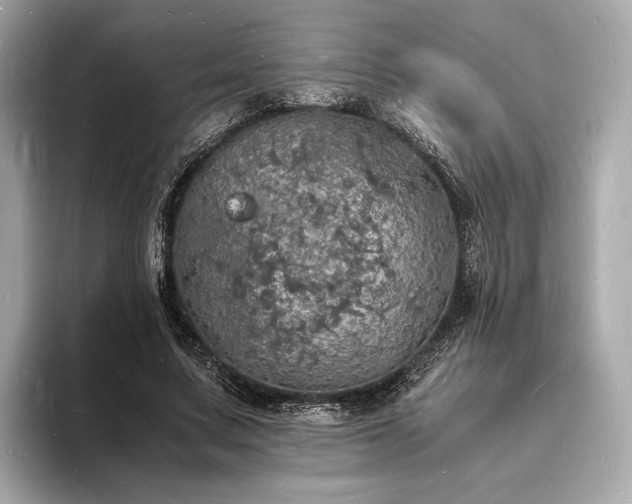 X0000094060683200710261226