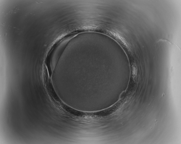 X0000094060684200710261226
